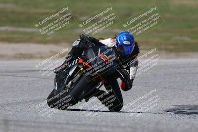 media/Mar-23-2025-TrackDaz (Sun) [[88a7749186]]/A Group/2pm (Cotton Corners)/